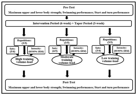 Ijerph Free Full Text What Is The Optimal Strength Training Load To