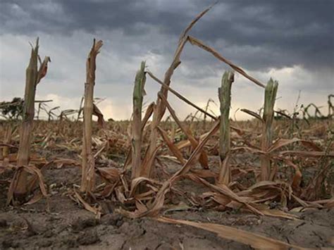 We did not find results for: 6 Global Warming Effects That May Surprise You | Reader's ...