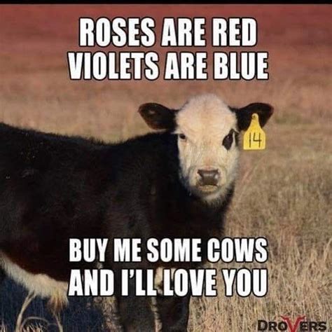 How are blue roses made? Roses are red, violets are blue, buy me some cows and I'll ...