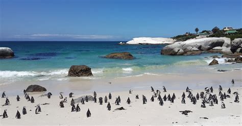 These Are South Africas Top Tourist Attractions To Visit