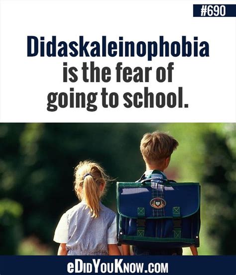 Didaskaleinophobia Is The Fear Of Going To School More Edidyouknow