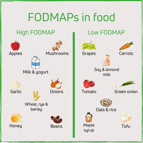 Irritable Bowel Syndrome And The Low Fodmap Diet