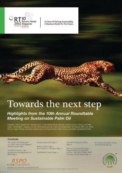 Towards The Next Step Roundtable On Sustainable Palm Oil