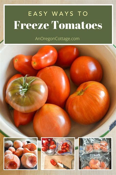 Can you freeze green tomatoes? Easiest Ways To Freeze Tomatoes (No Blanching) | An Oregon ...