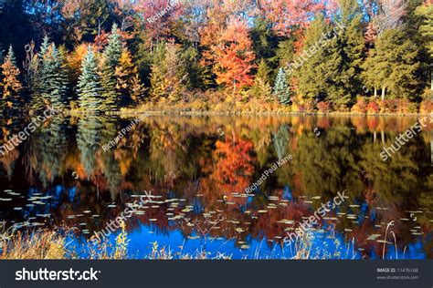 Fall Scene On A Mountain Lake Scranton Pa Stock Photo 11476168 Shutterstock