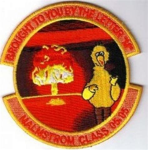 Cool American Military Patches 74 Pics