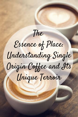 The Essence Of Place Understanding Single Origin Coffee And Its Unique