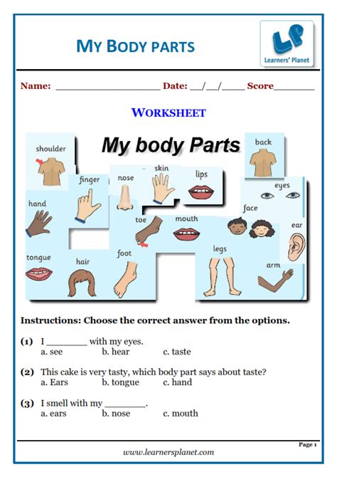 My Body Parts Activity Sheets For Kindergarten