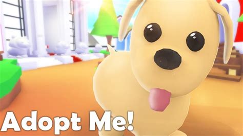 What is the newest update at adopt me in april 2020? Roblox: How to spot and avoid scammers in Adopt Me! - CBBC Newsround