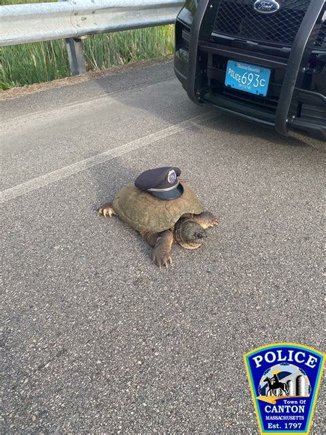 Canton Police (@CantonMAPolice) / Twitter