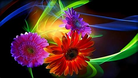 Colorful Flower Hd Background Pixelstalknet