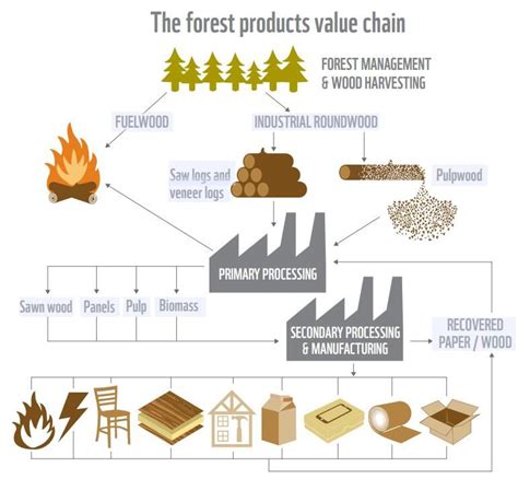 Check Out Wwfs Awesome Graphic On The Value Chain Of Wood Wwfcanada