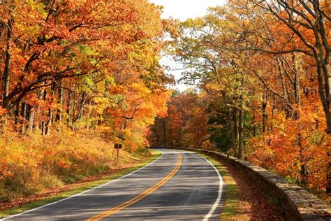 Incredible Things To Do In Shenandoah National Park Renee Roaming