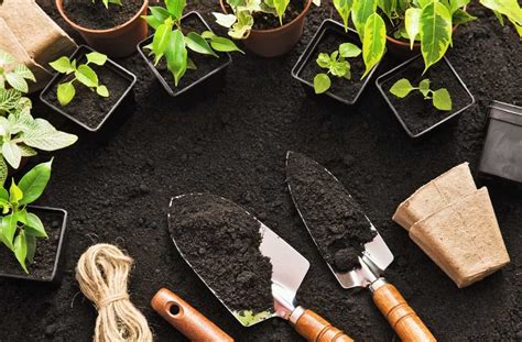 take your love for gardening to the next level with these easy