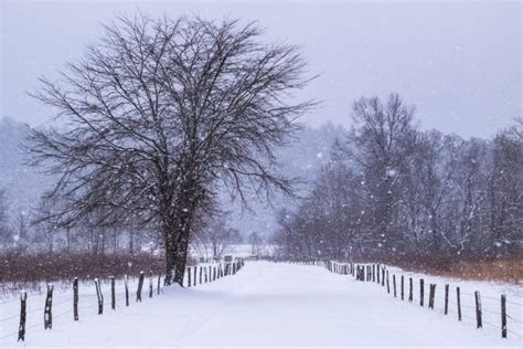 Top 5 Activities Youll Love To Do In Cades Cove In Winter