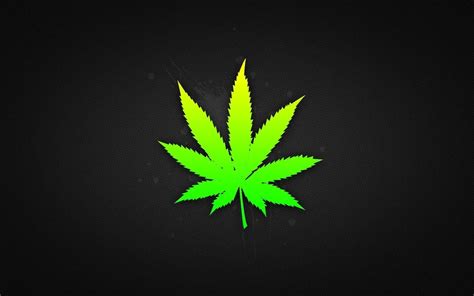 Colorful Weed Wallpapers On Wallpaperdog