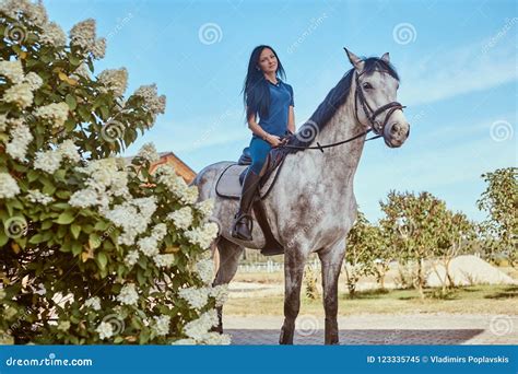 Beautiful Brunette Female Riding A Dapple Gray Horse Near Lilac Bushes