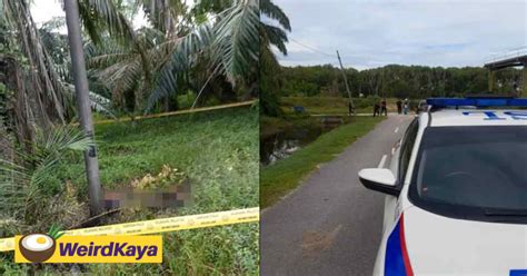 charred body of m sian woman found abandoned at palm oil plantation in kl weirdkaya