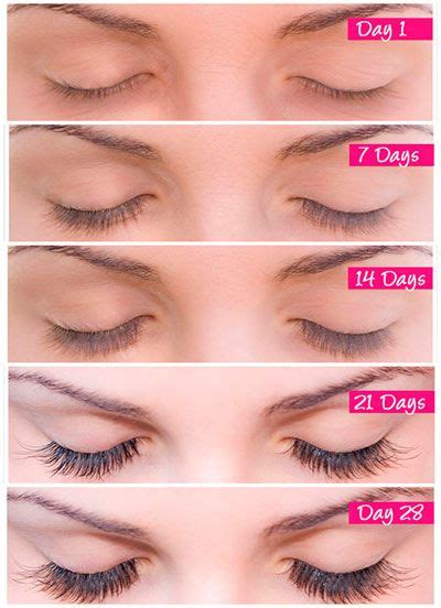 grow long thick lashes how to grow eyelashes grow eyelashes longer long thick lashes