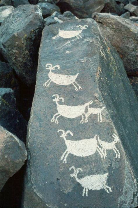 Bighorn Sheep Petroglyphs Coso Mountains California Petroglyphs