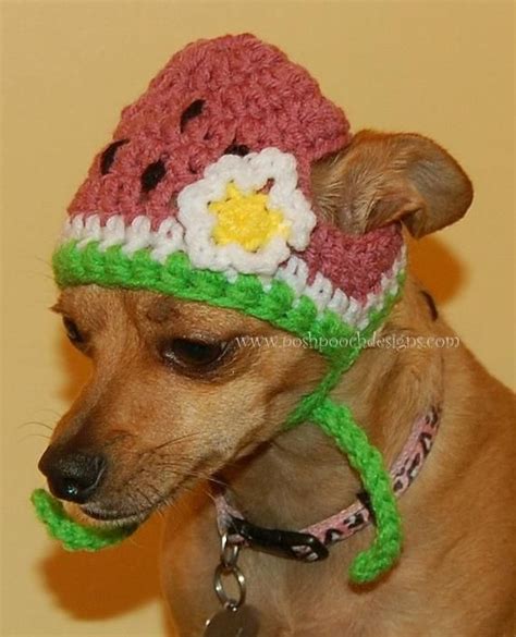 Instant Download Crochet Pattern Watermelon Dog Hat Small Etsy Dog