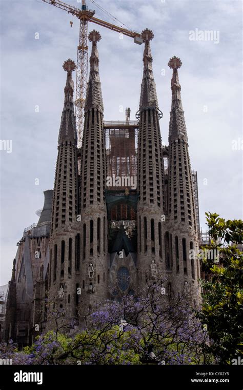 Sagrada Familia Cathedral Designed By Antoni Gaudi In Barcelona Spain