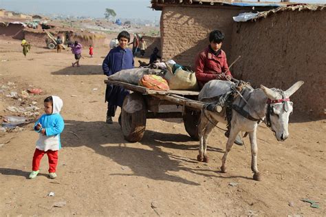 مفوضية اللاجئين تطلق مشروعا جديدا لانتشال اللاجئين الأفغان في باكستان من الفقر المدقع أخبار