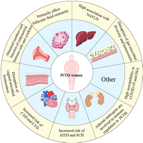 Frontiers Dysregulation Of Immune Response In Pcos Organ System