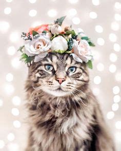 Cats In Flower Crowns Ideas Cats Cute Cats Cats And Kittens