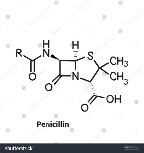 Penicillin Chemical Structure Vector Vector Có Sẵn Miễn Phí Bản Quyền
