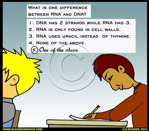Funny Cartoon About Testing Blackboard Daze