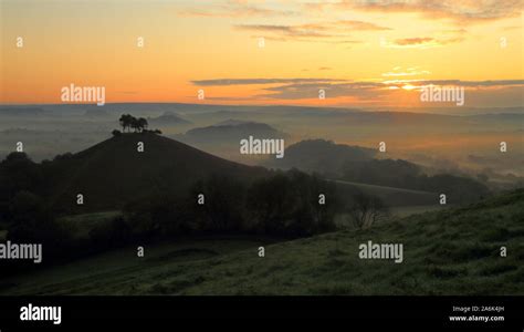 Misty Morning Over Colmers Hill In West Dorset Stock Photo Alamy