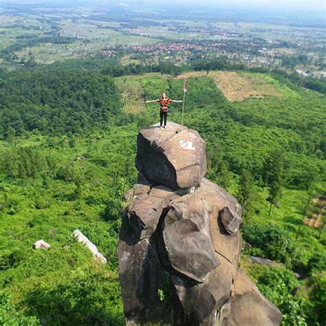 10 tempat wisata di banyuwangi paling hits, cocok untuk liburan 6 tempat wisata jogja terbaru yang viral dan kekinian, kamu wajib ke sini! 35 Tempat Wisata Di Tegal Terbaru Yang Bagus Dan Hits ...