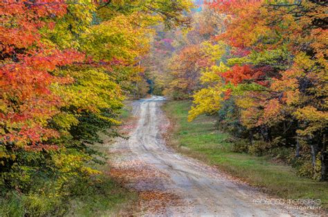 Fine Art Landscape And Nature Photographs By Rebecca Metschke Blog