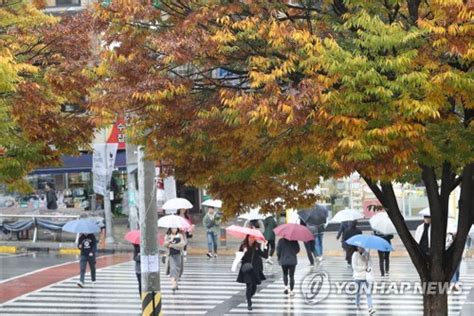 오늘 하루 이 창 열지 않음. 오늘날씨기상청 전국 비 제주 100mm 강원산지 5cm눈 미세먼지 보통