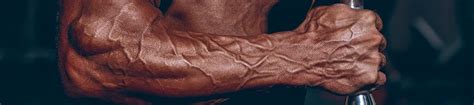 How To Get More Vascular 6 Easy But Effective Steps