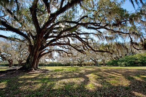 19 Most Beautiful Places To Visit In Louisiana