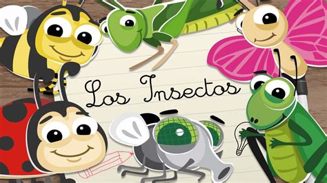 Insectos En EspaÑol Para Niños Vídeos Educativos Para Niños