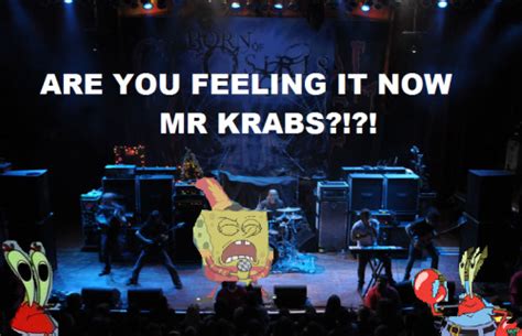 No u don't understand i don't think he was feeling it. are you feeling it now mr krabs on Tumblr