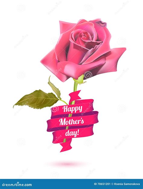 Happy Mother S Day Pink Rose And Ribbon Stock Vector Illustration Of