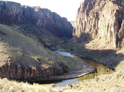 Birding Is Fun Three Forks Of The Owyhee River