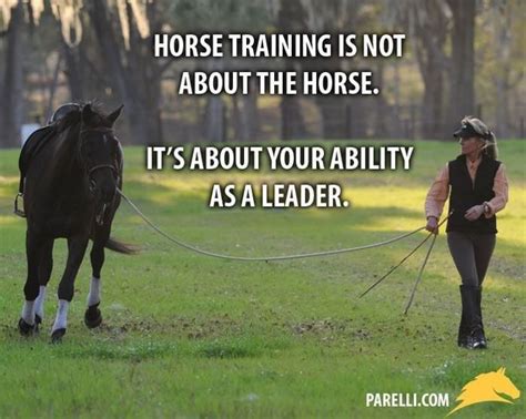There are no great limits to growth because there are no limits of human intelligence i've often said there's nothing better for the inside of a man than the outside of a horse. Leading | Horse training, Horses, Horse quotes