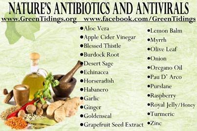 Foods high in lysine are: 1000+ images about Antiviral food on Pinterest | Natural ...