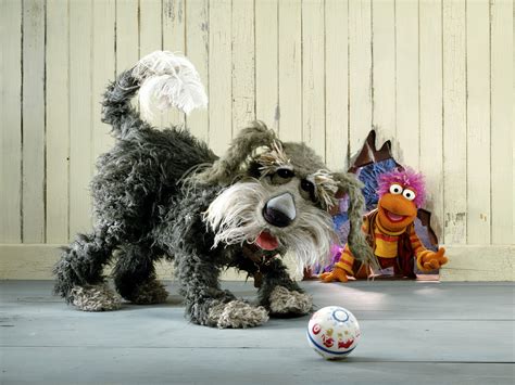 Think You Know The Muppet Dogs You Have No Idea Barkpost