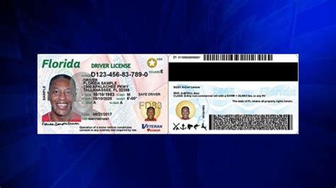 Florida Drivers Licenses To Get Complete Makeover Wsvn 7news Miami