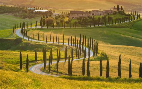 Wallpaper Id 691808 Landscape Tuscan Trees 2k Olive House