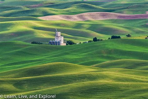 Scenes From Palouse Washington Life On The Farm ~ Learn Live And