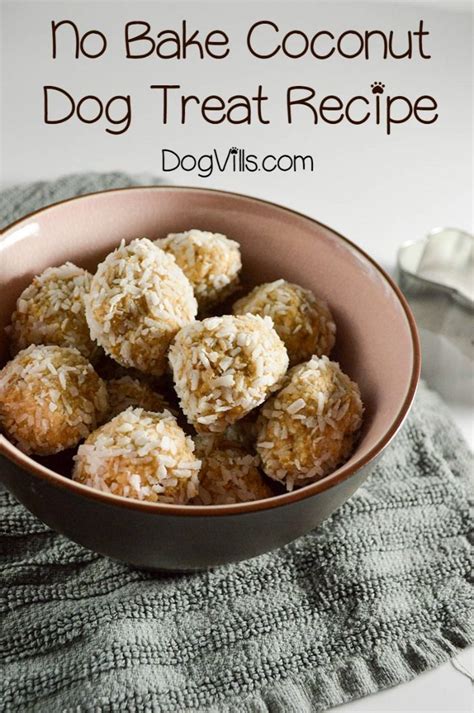 No Bake Coconut Dog Treat Recipe Dog Biscuit Recipes