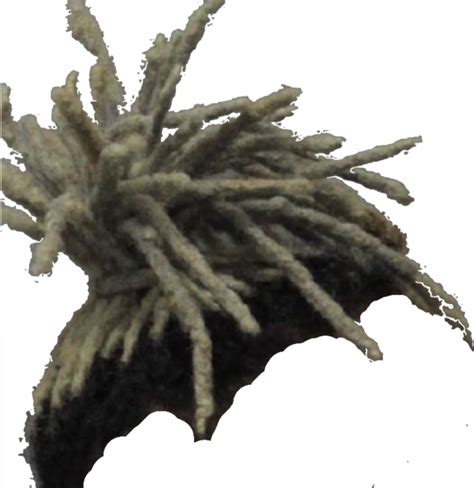 Xxxtentacion Hair Png Download Free Png Images 65 Characters