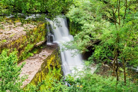 Free Images Forest Waterfall River Stream Jungle Body Of Water